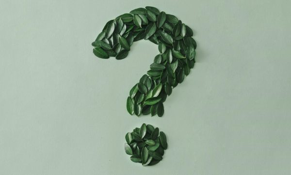 Question mark formed of small green leaves on a matching card